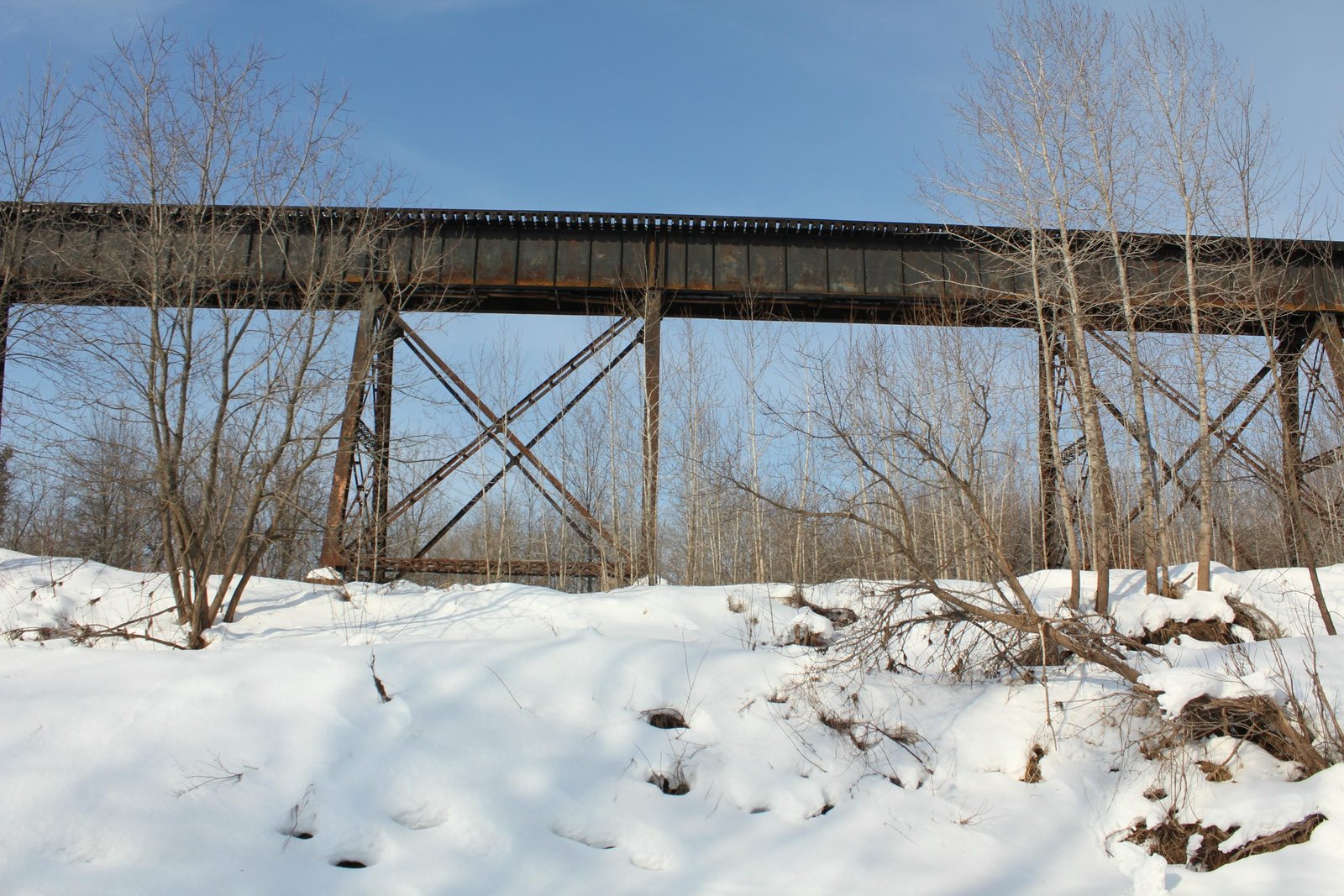 Typical east approach towers and spans